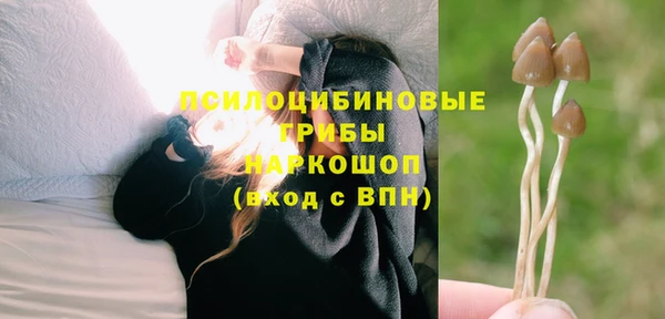 прущий лед Армянск